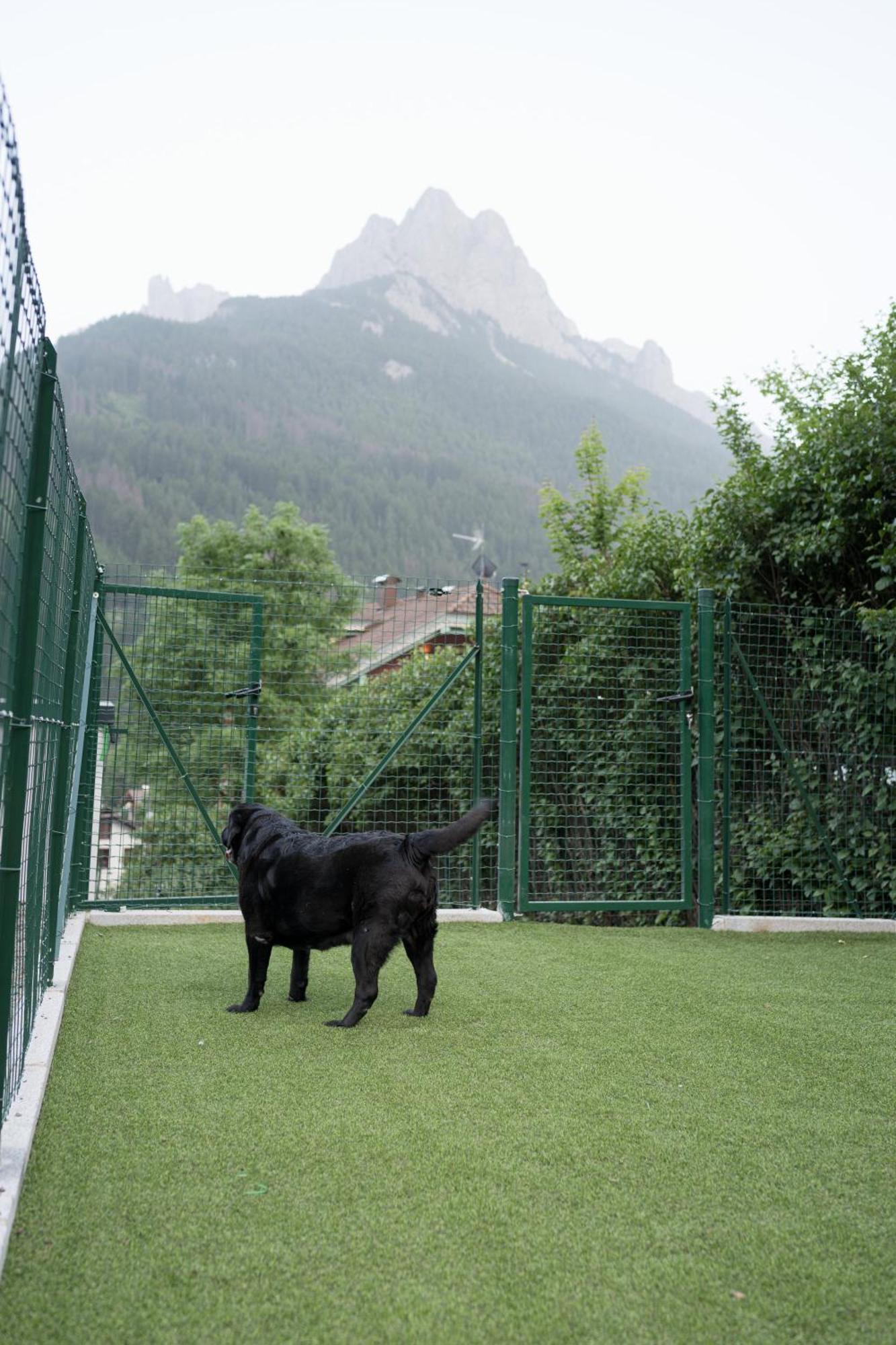 Dolomiti Exclusive Your Mountain Suite Pozza di Fassa Bagian luar foto